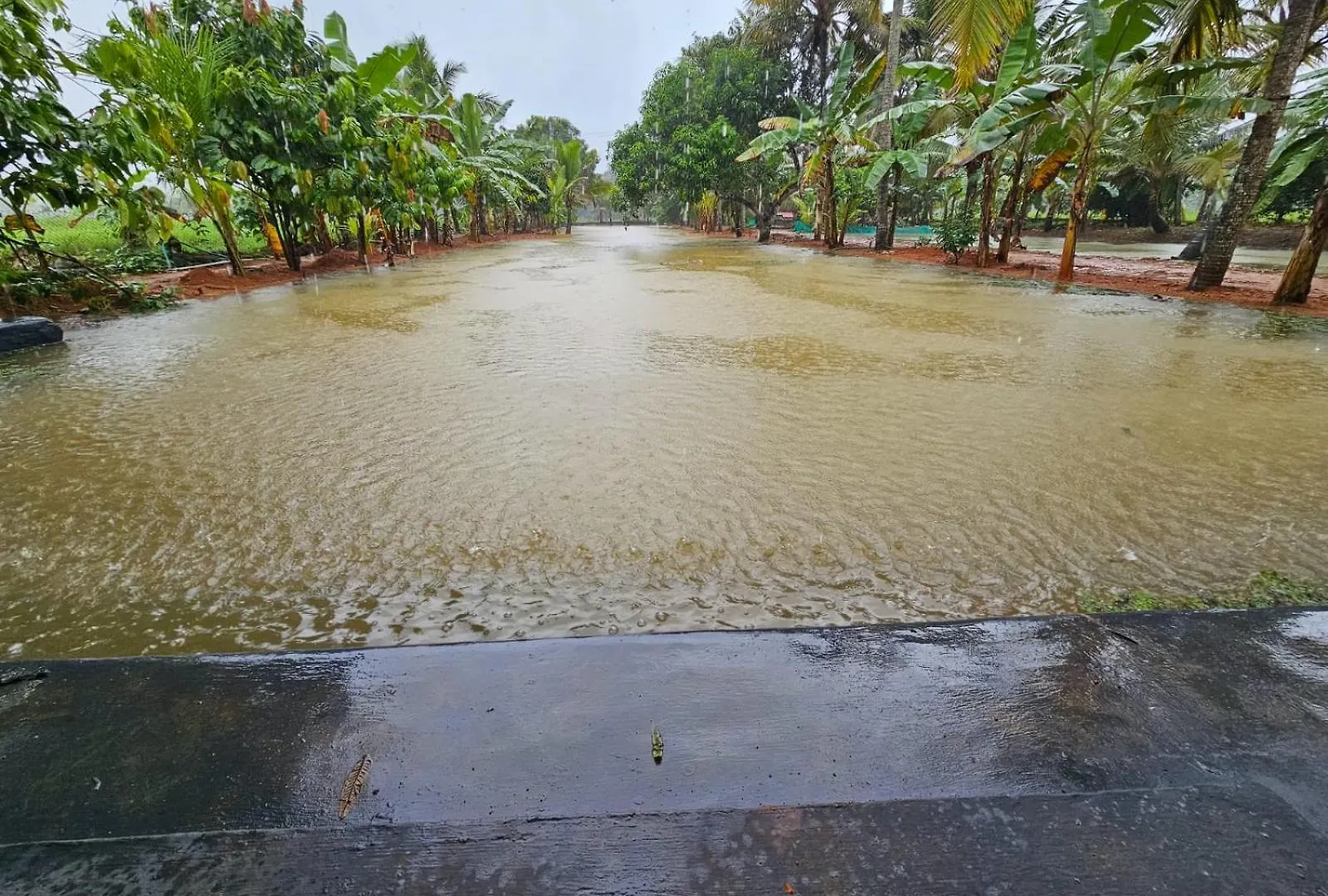 Biki'S Palm Villa Kaduturutti