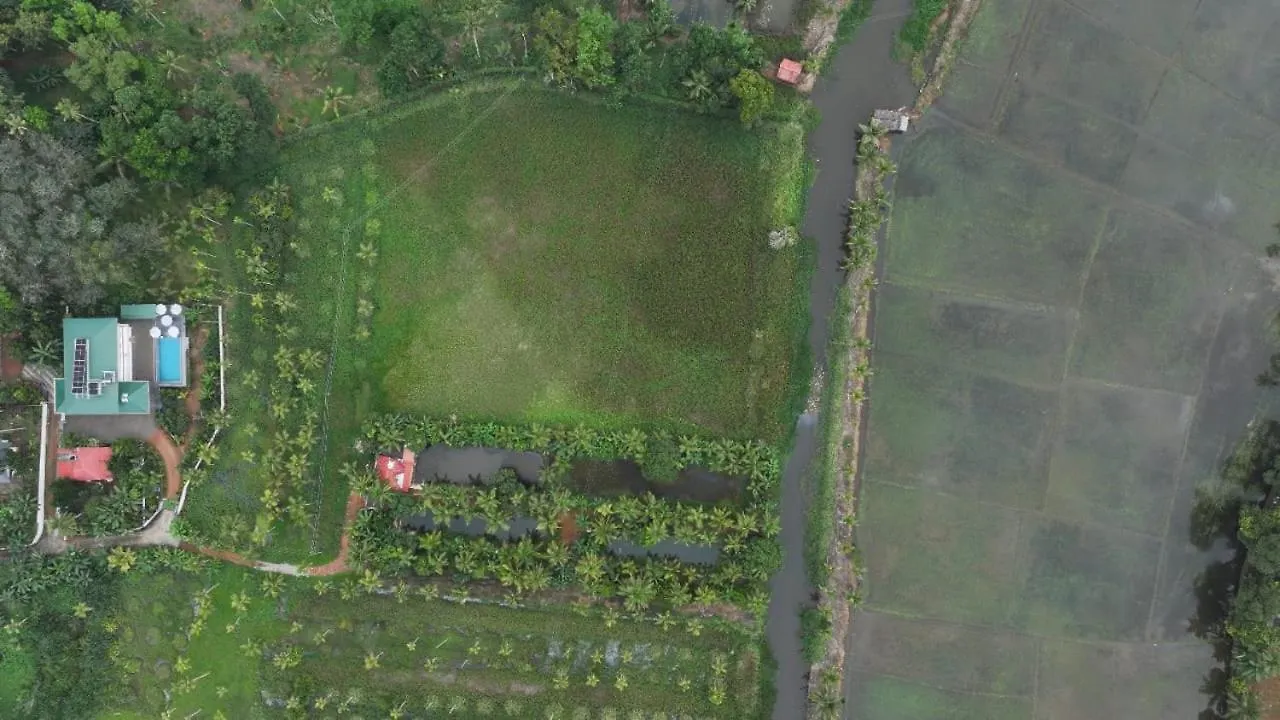 Biki'S Palm Villa Kaduturutti Vendégház